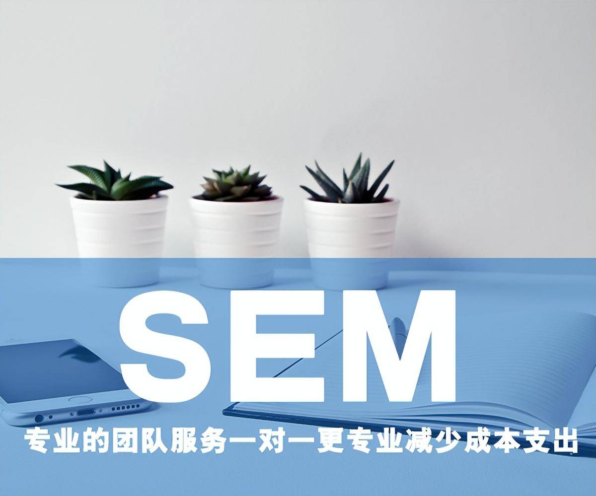 SEM策略解析：如何打造高效广告？