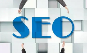 反链优化seo是什么意思 反链优化seo是什么意思