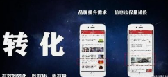 头条小程序：连接用户与创作者的桥梁