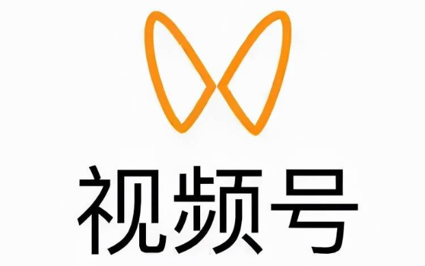 视频号单个视频的数据类型关注的是什么?