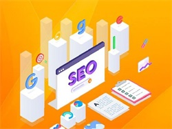 网站如何快速提升排名seo